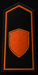 Senior Sentinel
