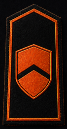 Team Lead